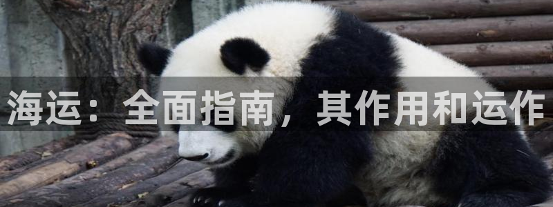 欢迎来到公海7108