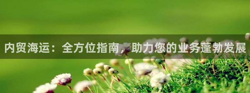公海赌博犯法吗
