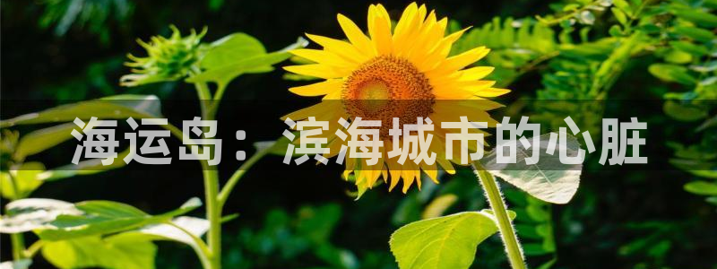 欢迎来到公海欢迎来到赌船