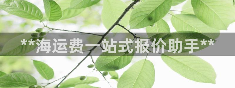 公海赌博为什么没人管