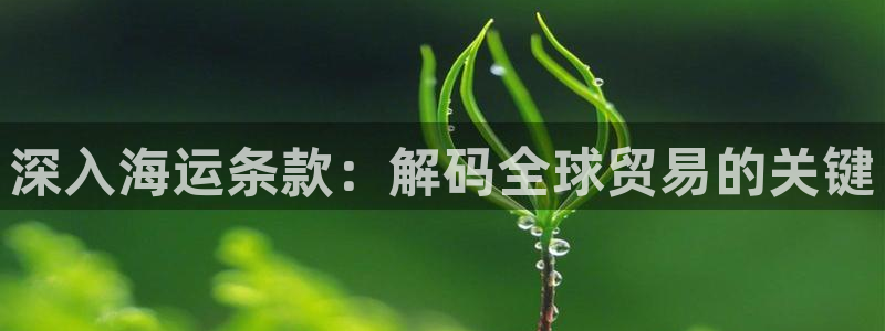 公海赌赌船官网jc710 下载