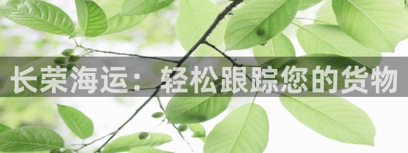 公海赌赌船利息宝是真的吗