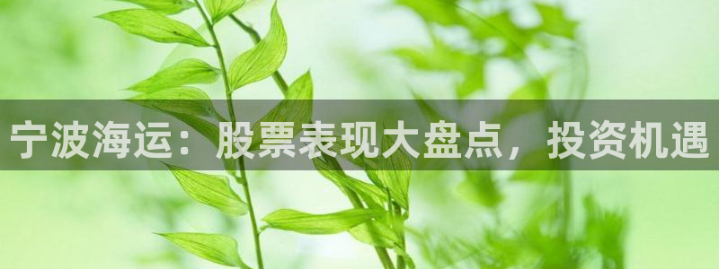 欢迎来到公海555000