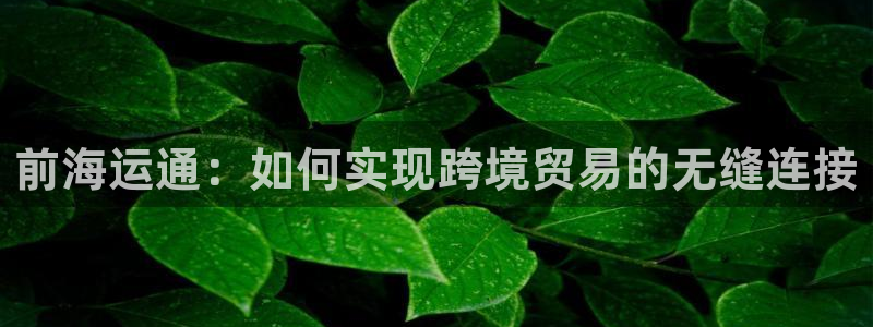 欢迎您来到公海