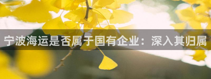 欢迎你来到 公主的海岛