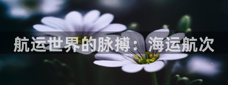 公海赌赌船官网jc710
