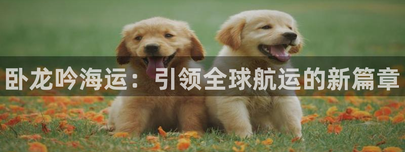欢迎来到公海710线路是多少
