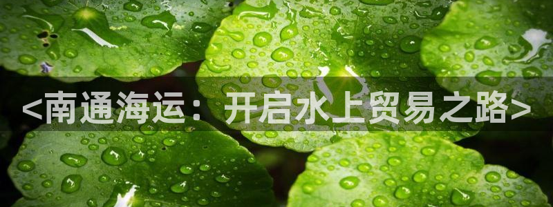 公海赌博犯法吗
