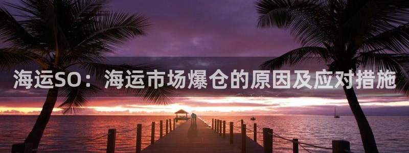 欢迎来到公海电脑版
