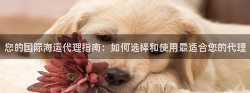 公海赌钱犯法吗
