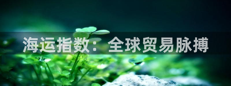 公海赌钱违法吗