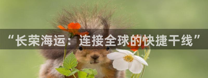 欢迎上船
