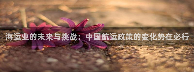 公海赌博为什么没人管