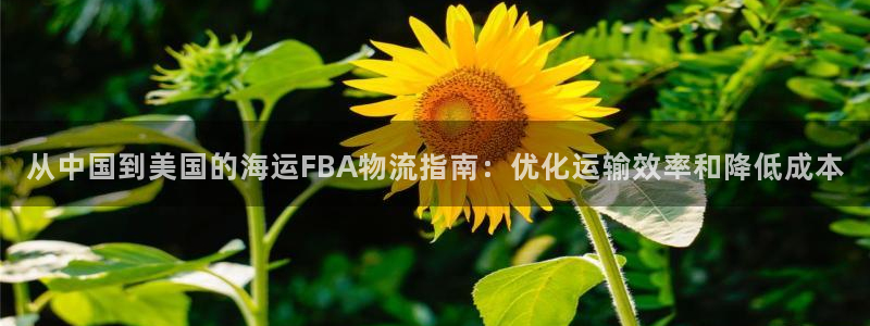 欢迎您来到公海