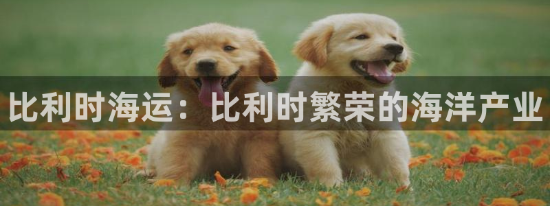 欢迎来公海欢迎来到赌船