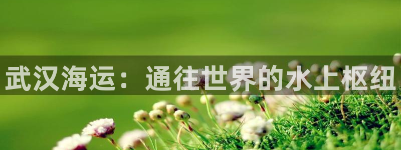 公海赌钱公安会抓吗