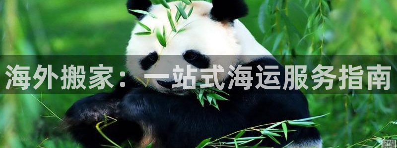 公海赌赌船贵宾会员检测路线
