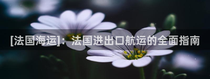 欢迎来到海牛星简谱
