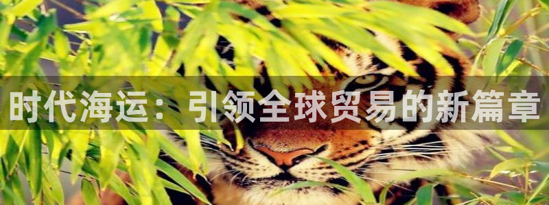 欢迎来到公海555000