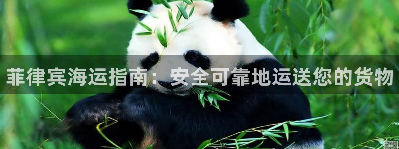 欢迎登船