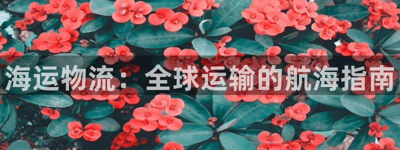 公海赌博为什么没人管