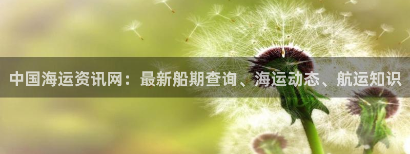 公海赌赌船贵宾会员检测路线