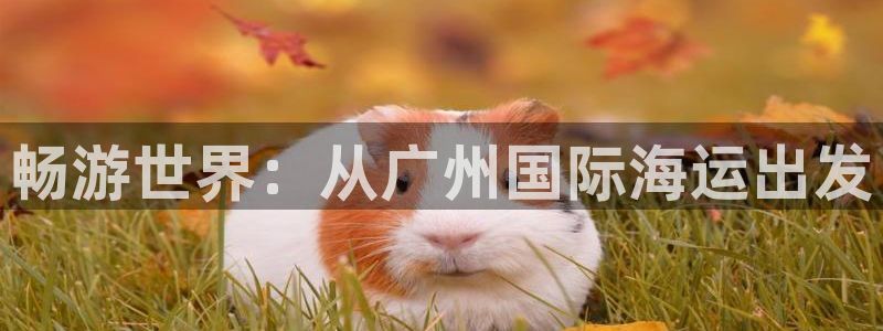 欢迎来到公海555000