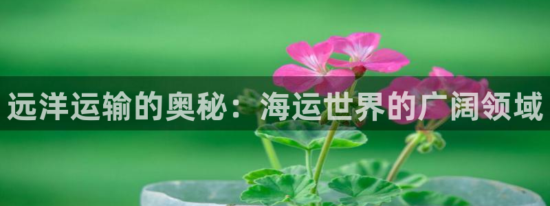 公海赌赌船官网jc710公海