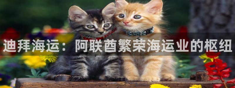 公海欢迎来到赌船710