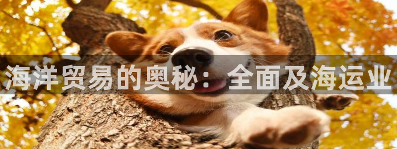 欢迎来到公海.欢迎来到赌船