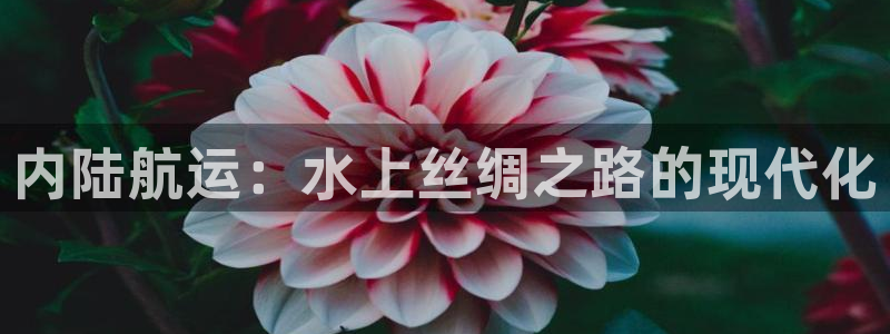 公海赌钱很大吗